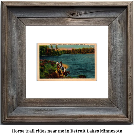 horse trail rides near me in Detroit Lakes, Minnesota